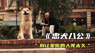 "它不懂什么是离别，它只想等你回来"