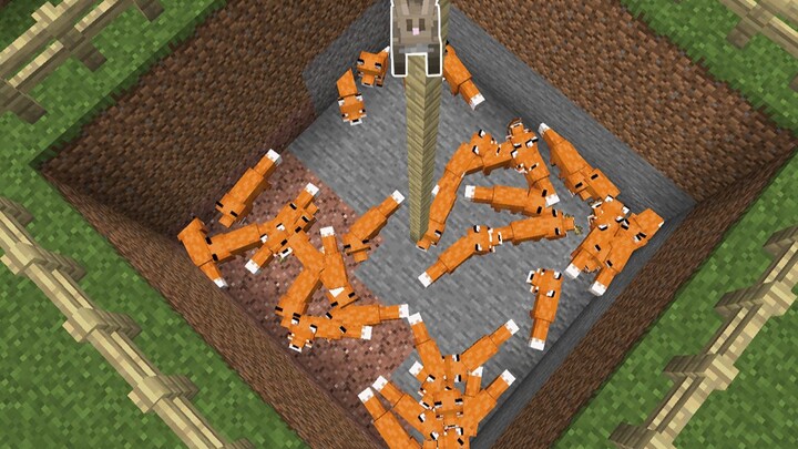 Rabbit: My fate is in my own hands.