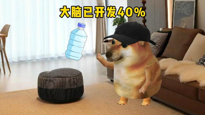 大脑开发和身体强度，你会怎么选？