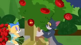 kartun anak Tom and Jerry bahasa indonesia | Tom's love