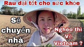 Đi hái rau dại quý ở Pháp/Vì sao Dung ở quê/không lẽ về Việtnam/Cathy Gerardo cuộc sống pháp