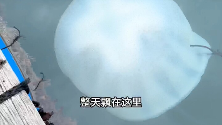 Unlock the new character, Apiao