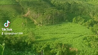 hahahaha, ito Ang Mang yayari pag Mali Ang coordinates na binigay😂😂😂