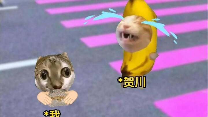 ประสบการณ์แบบไหนกันนะ…ที่ถูกพ่อซึ่งเป็นมหาเศรษฐีอันดับหนึ่งเก็บกลับบ้าน~2