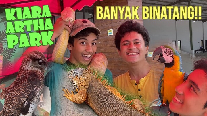 Ketemu Ular, Burung Hantu, & Komodo Di Kiara Artha Park!! | #Vlog