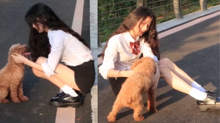 【Ye Ruirui’s Daily Life】The Runaway Senior and Her Dog