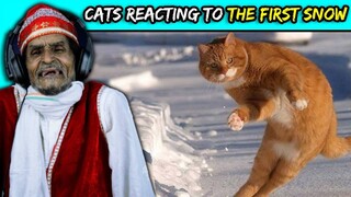 Villagers React To Cats Reacting To The First Snow Funny Compilation ! Tribal People React To