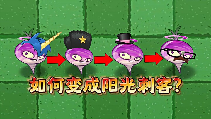 瓷砖萝卜：如何从平凡变成阳光刺客？