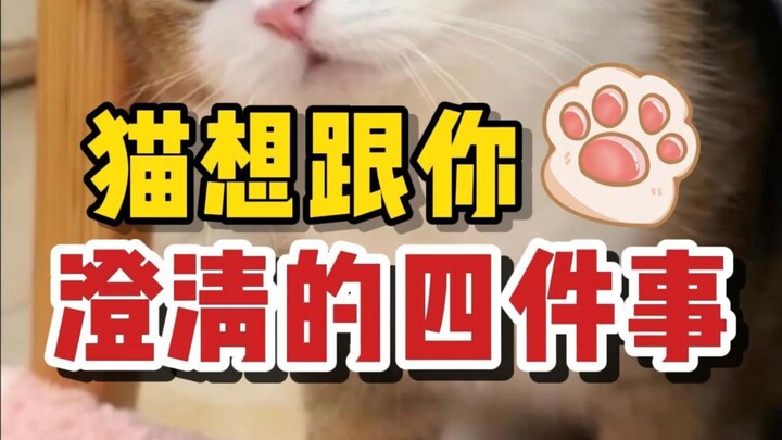 Four things cats really want to clarify with you...
