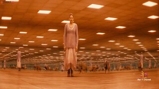 Divergent (2014)