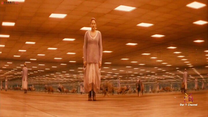 Divergent (2014)