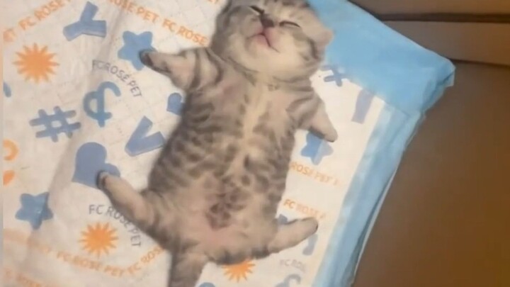 Khi ngủ, cô lại xoạc hai chân và hai tay ra, nằm giữa giường tạo thành một chữ “艹”.