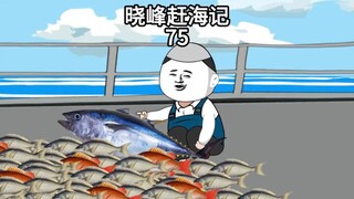 晓峰赶海记（75）拖网船也能捕到金枪鱼？