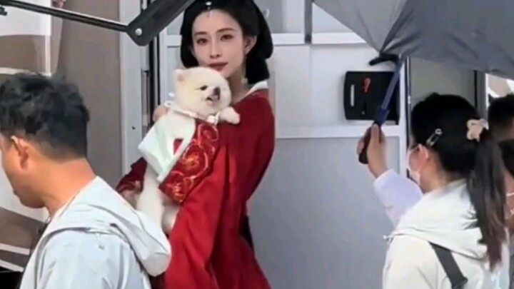 Đúng là chó thì làm sao thoát được số phận bị tát # Chó # Mạnh...