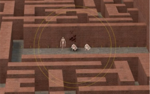 Melihatnya saja sudah sangat menyenangkan