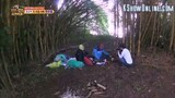 law of the jungle 185