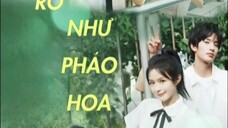 RỰC RỠ NHƯ PHÁO HOA ( Dư Nhân , Trương Sí , Lý Kha Dĩ , Vương Dịch Lỗi )