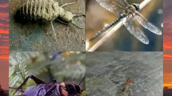 Mereka terbebas dari kita...