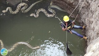 10 Công Việc Nguy Hiểm Nhất Hiện Nay Có Trả 1 Tỷ 1 Tháng Chưa Chắc Bạn Đã Giám Làm