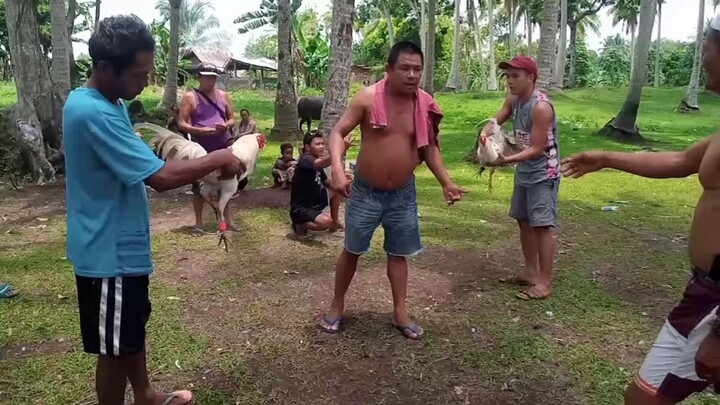 Wan eye VS  Wan leeg 😅 panalo Wan eye nqtin mga boss