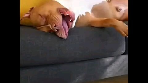 😍😂😂