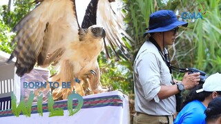 Releasing a rescued Philippine eagle back into the wild | Born to be Wild