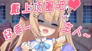 【十分钟看猫猫】白天上班晚上当宠物的主人