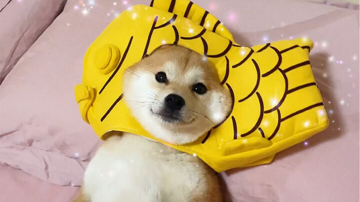 Ya ampun… Aku benar-benar menerima paket kayak gini!!