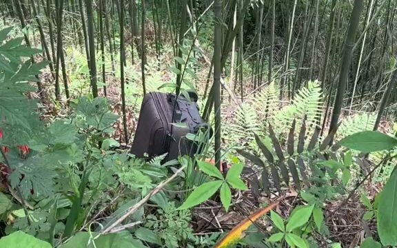 Không phải nhân dân tệ thì là người dân, xem vận may của tôi thôi!