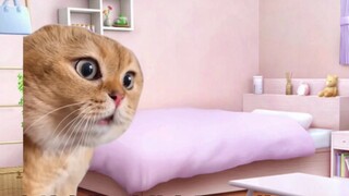 【Cat meme】When the dream girl's new husband meets the old painter