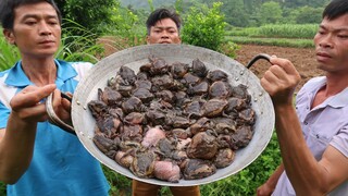 Ăn Một Chảo Ếch Ương Khổng Lồ Gần 100 Con - Nhịp Sống Miền Núi