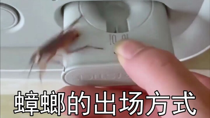 Cả tám kiếp cũng không ngờ được là gián lại xuất hiện theo cách này!