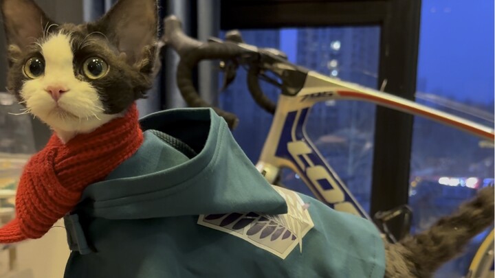 My Two-Month Journey of Raising Dezi…