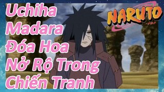 Uchiha Madara Đóa Hoa Nở Rộ Trong Chiến Tranh