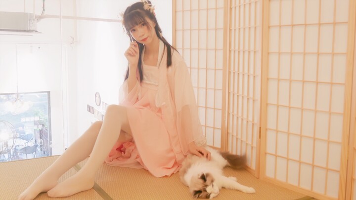 【Versi uji coba di kafe kucing】Malam Jiangnan, lihat kucingnya, jangan lihat saya!