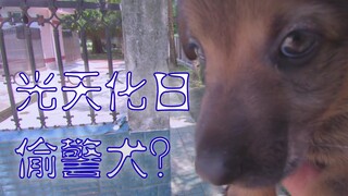 偷狗？漠叔到警犬基地拍摄小奶狗，说好剪掉失误画面..结果全给播了！