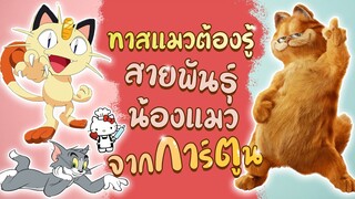 ทาสแมวต้องรู้ สายพันธุ์น้องแมวจาก การ์ตูน : EP28