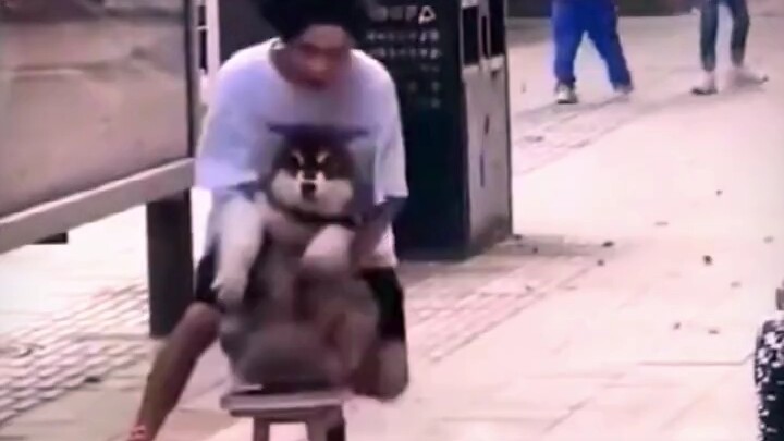 الكلب: هذا الشخص كويس، لم يتخلَّ عني على الفور!