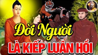 Luật Nhân Quả 2024, KHINH THƯỜNG NGƯỜI KHÁC Vì Đời Người là Kiếp Luân Hồi - Truyện Phật Giáo Hay