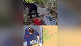 Giải cứu một thiên thần nhỏ mèo cute foryou