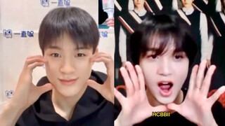 【李帝努 李楷灿】小狗照着小熊做了🥕胡萝卜颂challenge
