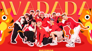 [WADADA Million Cameras] เสือโคร่งตัวผู้ 9 ตัวเต้นรำอย่างน่ารักไปกับเพลงปีใหม่ของ Kep1er เพื่ออวยพรใ