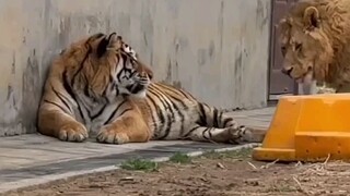 Best friends 🤣🤣🤣😘😘😘