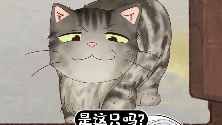 Bà nội ra tay, bé mèo yếu ớt cũng hóa “quái vật”!