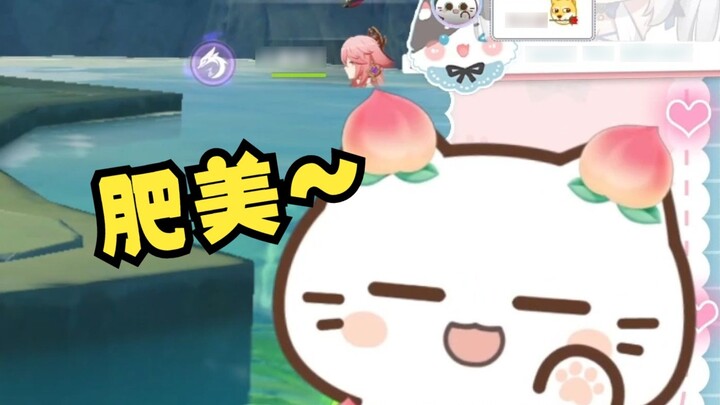Biến đổi! Mèo đào!