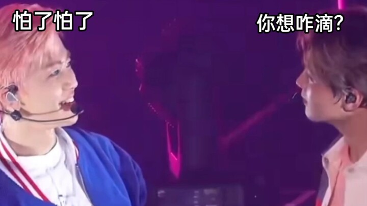 เมื่อลูกหมีไม่ได้ตบมือกับเจ้ากระต่าย…