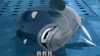 看到这个后还想吃鱼吗？大自然和人性，一直很复杂的存在！