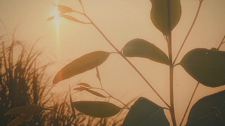 kẹo 4 mùa