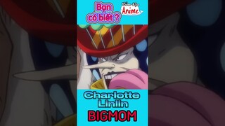 Người mẹ nhiều con nhất One piece #onepiece #luffy #bigmom#shorts