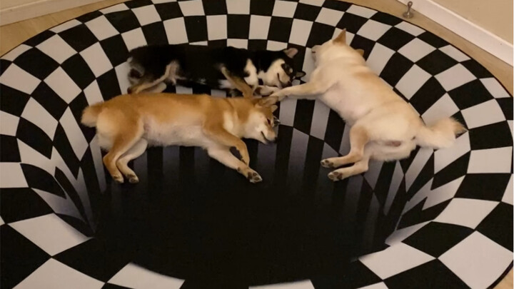 Vertigo carpet plus